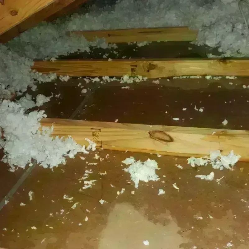 Attic Water Damage in Tift County, GA